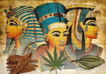 Traces of Nicotine, Cannabis and Coca Plant found in Egyptian Mummies