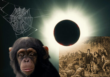 Strange Reactions Throughout History and the Animal Kingdom