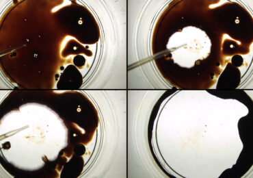 Rapid Turnaround on Your Oil Dispersant Test