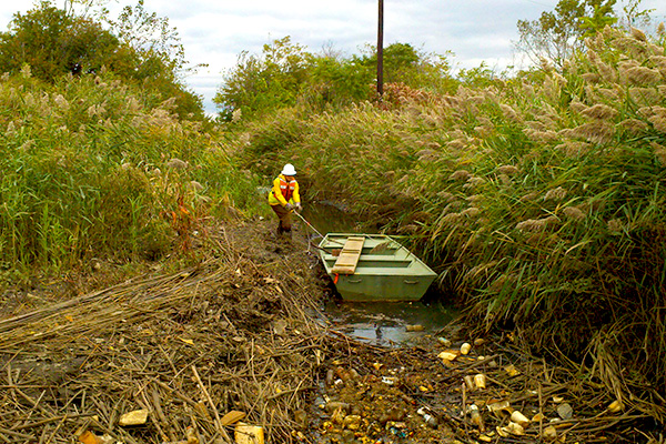 marine remedial investigation