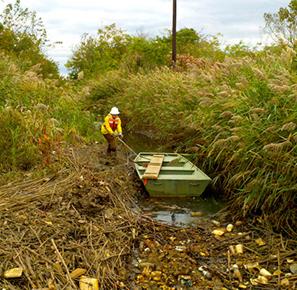 marine remedial investigation