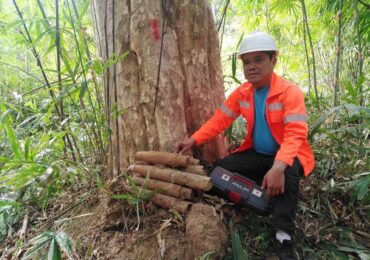 Bomb Hunting in Remote Jungle