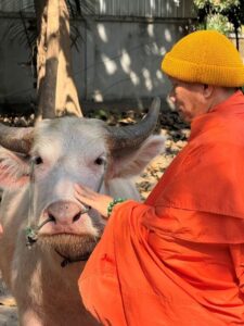 The Venerated Monk Crom, the Ngoua, and Casper the Friendly Ghost